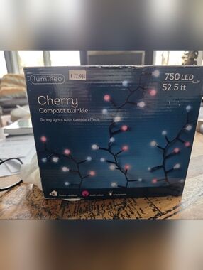 52 Foot String Lights Twinkle